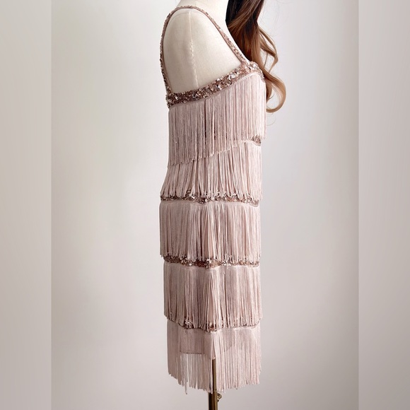 Aidan Mattox sequin fringe cocktail dress in Blush and Rose Gold - Picture 2 of 10